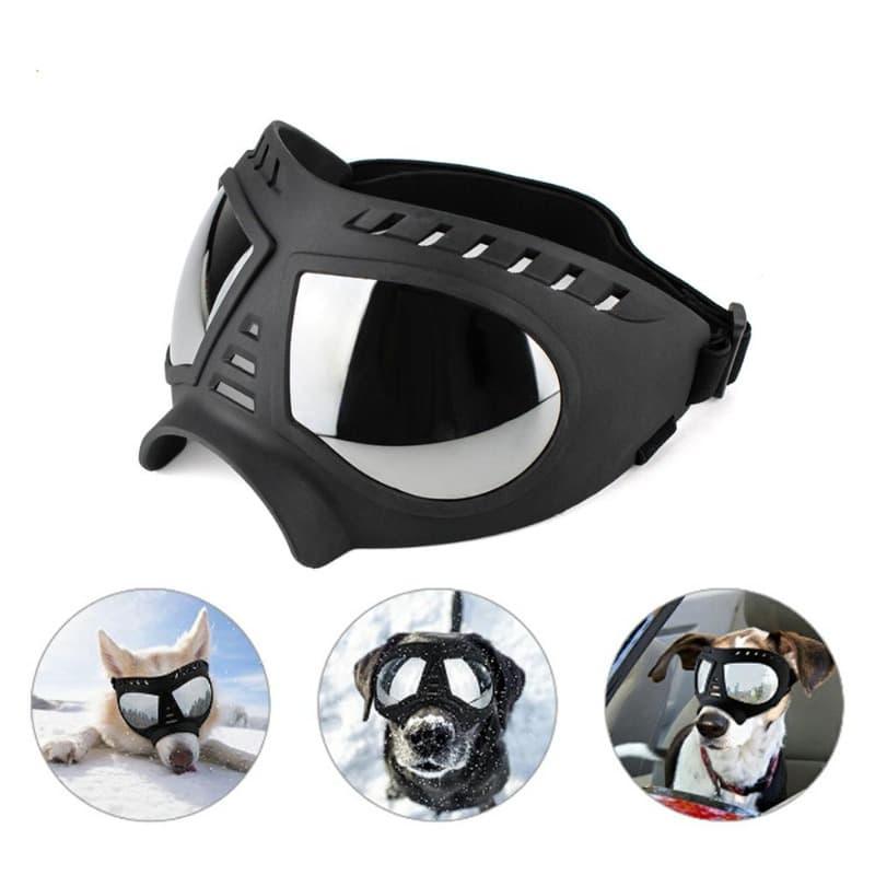 Dog hotsell pilot goggles