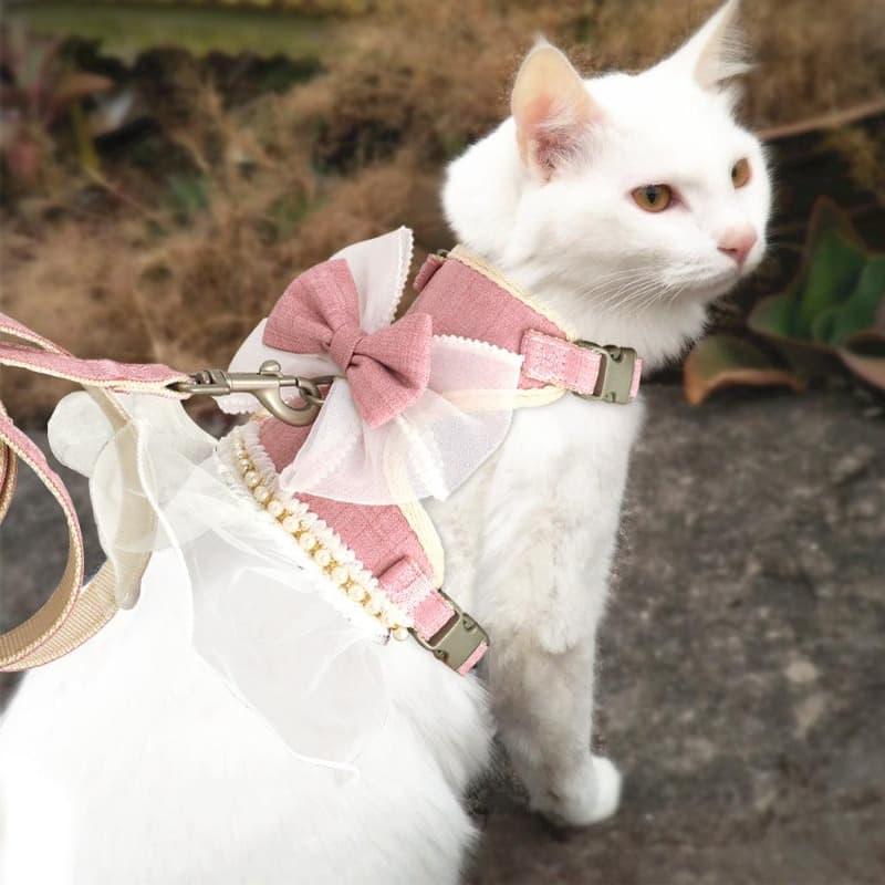 Tinkerbell cat hot sale collar