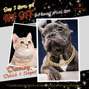 Fancy Pets Store: Dog & Cat Fashion Collars, Harnesses & Leads