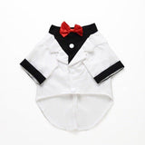 Classic Pet Tuxedo Wear - 11: FancyPetTags.com