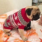 Cute Leg Strapped Knitted Pet Sweaters - 10: FancyPetTags.com