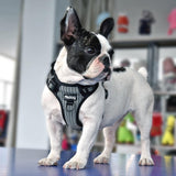 DiDog No-pull Nylon Dog Harness - www.FancyPetTags.com