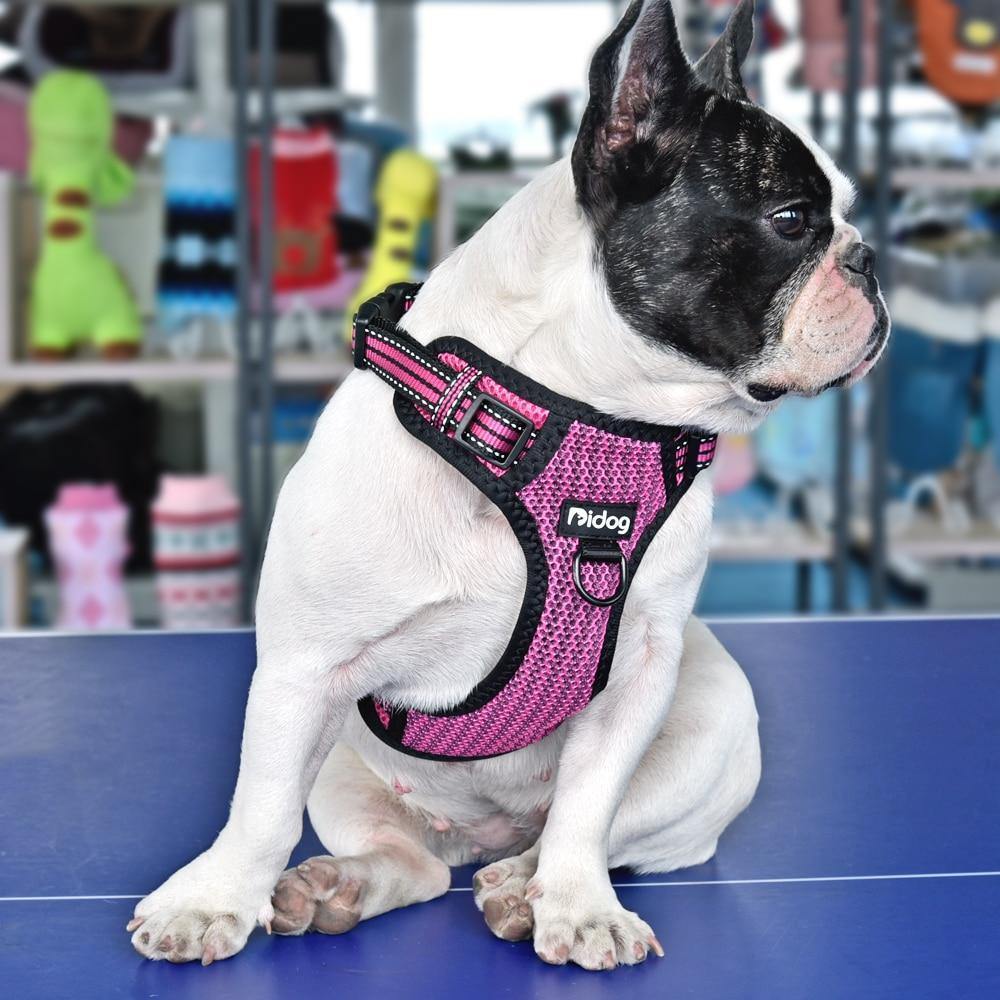 DiDog No-pull Nylon Dog Harness | FancyPetTags.com