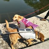 Dog Fin Flotation Vest - 3: www.FancyPetTags.com