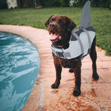 Dog Fin Flotation Vest - 2: FancyPetTags.com