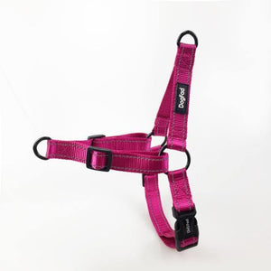 Dogfad Simplicity No Pull Harness - www.FancyPetTags.com