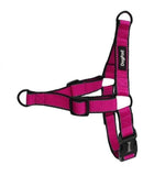 Dogfad Simplicity No Pull Harness - www.FancyPetTags.com