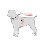 Dogfad Simplicity No Pull Harness - 14: FancyPetTags.com