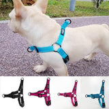 Dogfad Simplicity No Pull Harness - www.FancyPetTags.com