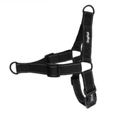 Dogfad Simplicity No Pull Harness - www.FancyPetTags.com