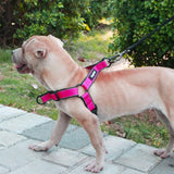 Dogfad Simplicity No Pull Harness - www.FancyPetTags.com