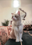 Dreamy Luxurious Rhinestones Pet Collar - 3: FancyPetTags.com