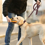 Extra Long Genuine Leather Dog Leash - 2: FancyPetTags.com