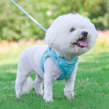 Fluffy Back Clip No Pull Harness & Leash Combo - 7: FancyPetTags.com