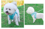 Fluffy Back Clip No Pull Harness & Leash Combo - 13: FancyPetTags.com