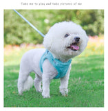Fluffy Back Clip No Pull Harness & Leash Combo - 12: FancyPetTags.com
