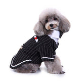 Gentleman Pinstripe Pet Tuxedo - 9: FancyPetTags.com