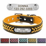 Leather Braid Name Tag Collar FancyPetTags