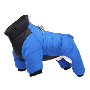 Long Sleeves Winter Harness Jacket - 1: FancyPetTags.com