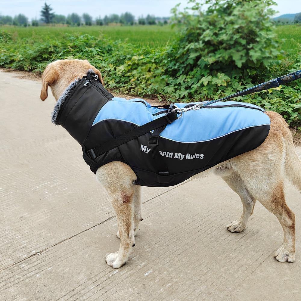 Dog coat harness sales combo