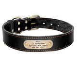Personalized Genuine Leather Collar FancyPetTags