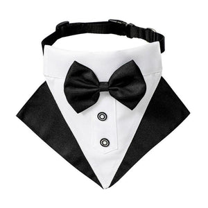 Pet Tuxedo Bandana Collar - 1: FancyPetTags.com