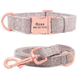 Rosy Fashion Collar & Leash combo FancyPetTags