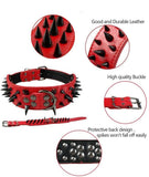 Spiked Leatherette Anti-Bite Collar - 9: FancyPetTags.com