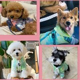 Tie Dye Hooded Fleece Pet Jacket - 5: FancyPetTags.com