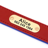 Trendy Leather X Name Tag Collar - 18: FancyPetTags.com