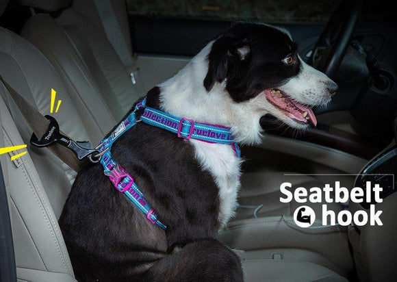 Truelove Seat Belt Safety Attachment - www.FancyPetTags.com